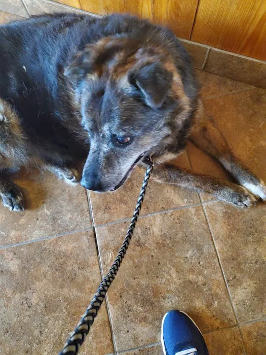 Stone Hill Veterinary Clinic Picture 10