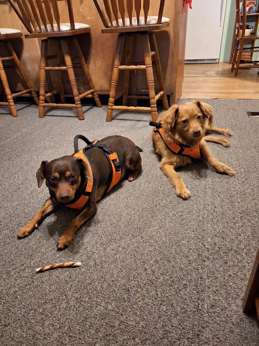 Broadway Veterinary Clinic Picture 6