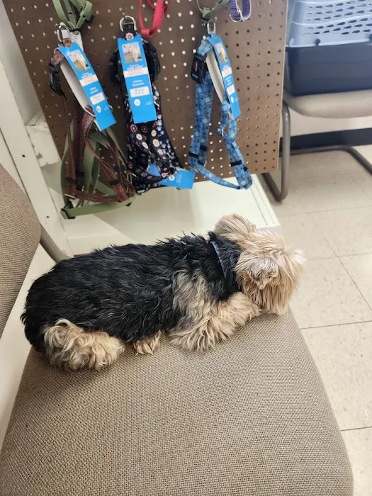 Broadway Veterinary Clinic Picture 7