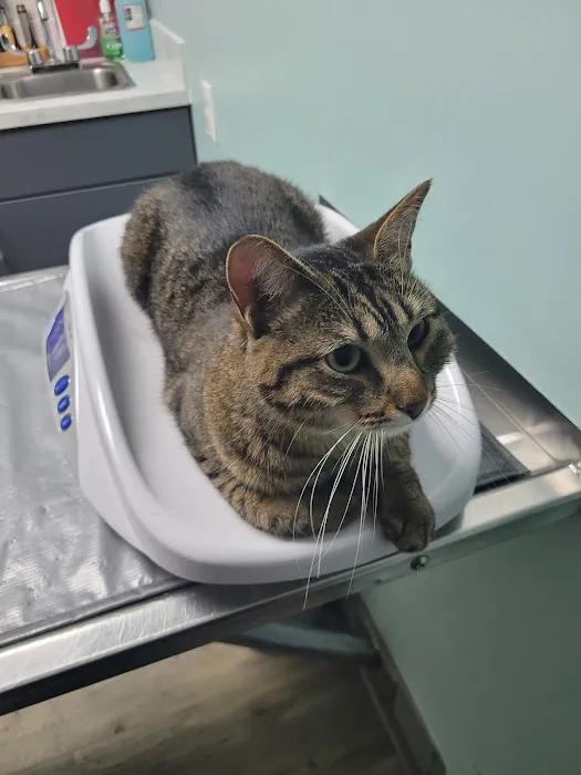 Seidl Veterinary Hospital Picture 3