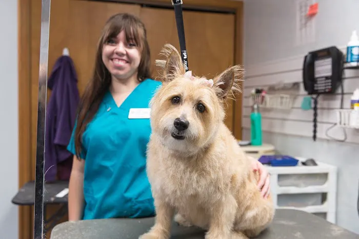 Seidl Veterinary Hospital Picture 8