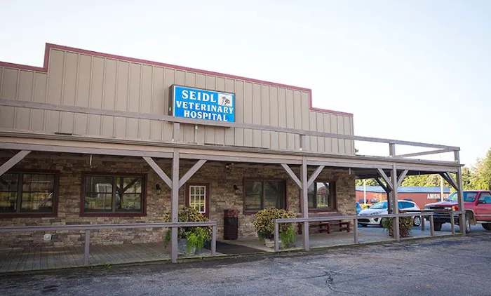 Seidl Veterinary Hospital Picture 10
