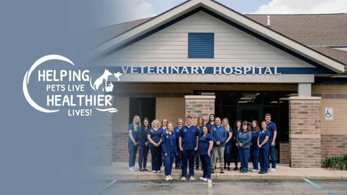 Blue Lake Animal Hospital Picture 8
