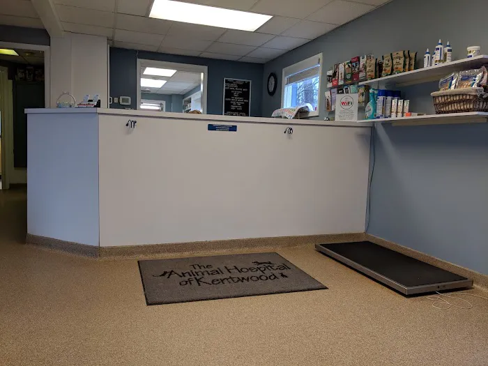Animal Hospital of Kentwood Picture 10