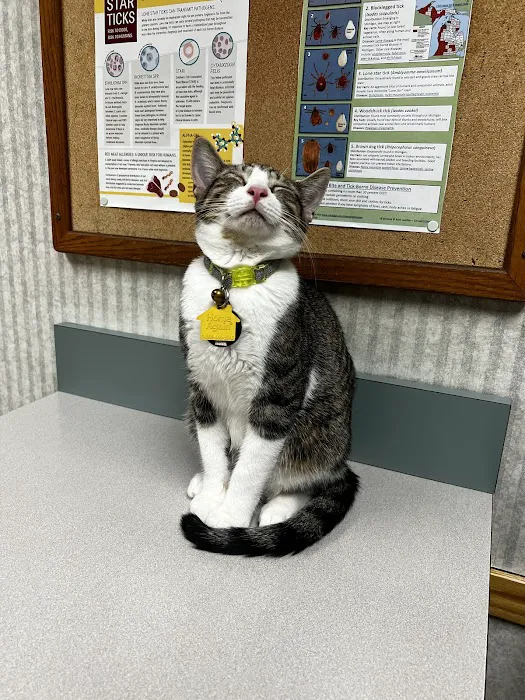 Red Barn Veterinary Clinic Picture 3