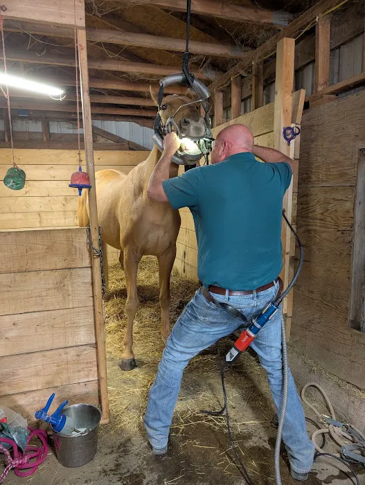 Bull Creek Veterinary Service Picture 1