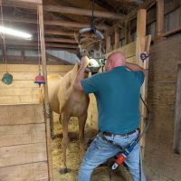 Bull Creek Veterinary Service ico