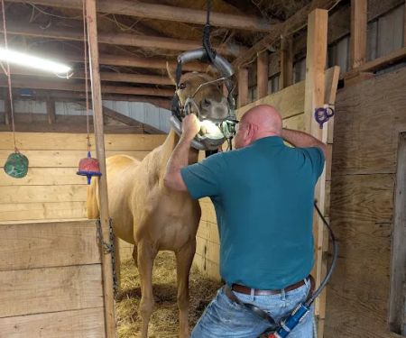 Bull Creek Veterinary Service