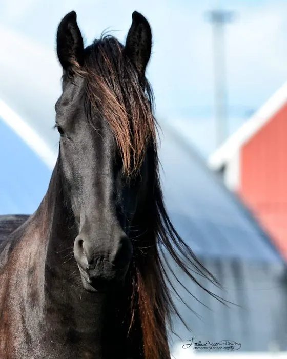 Bull Creek Veterinary Service Picture 5