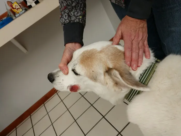 Erwin's Veterinary Clinic Picture 5