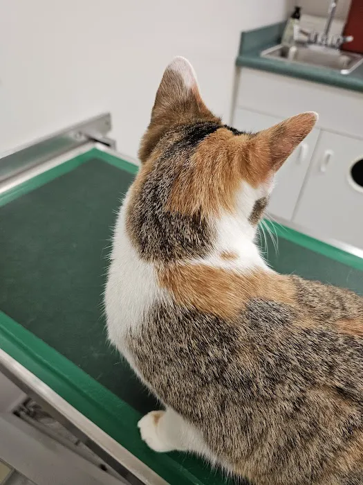 Countryside Animal Health Center Picture 8