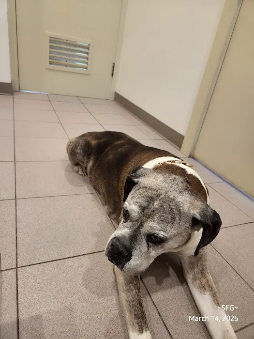 Clare Animal Hospital Picture 10