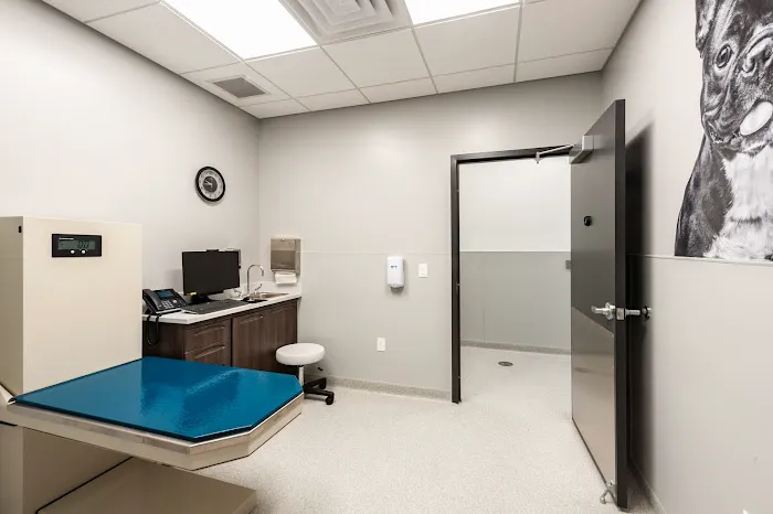 Animal Emergency and Specialty Hospital of Byron Center Picture 9