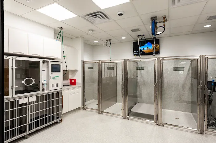 Animal Emergency and Specialty Hospital of Byron Center Picture 8