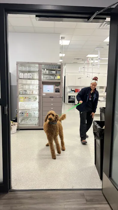 Animal Emergency and Specialty Hospital of Byron Center Picture 10