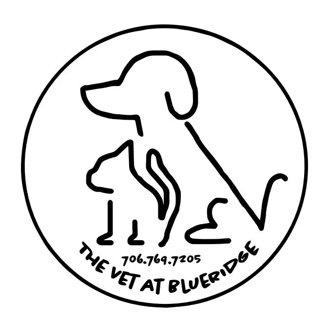 Vet At Blueridge Picture 6