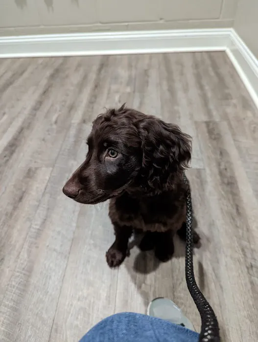 Vet At Blueridge Picture 5
