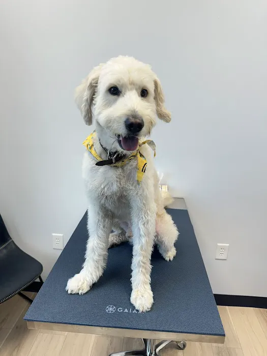 Riverfront Vet Picture 3