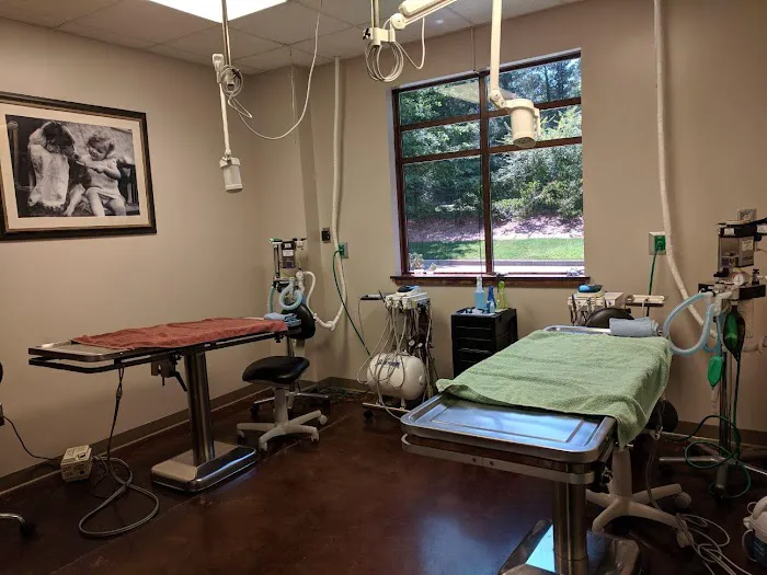 Veterinary Healthcare Associates Picture 2