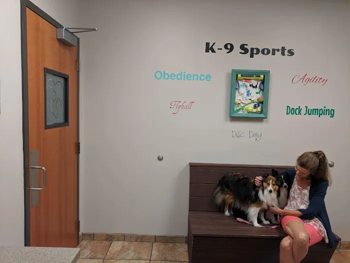 Veterinary Healthcare Associates Picture 7