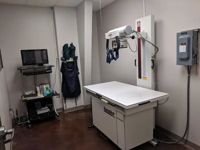 Veterinary Healthcare Associates Picture 6