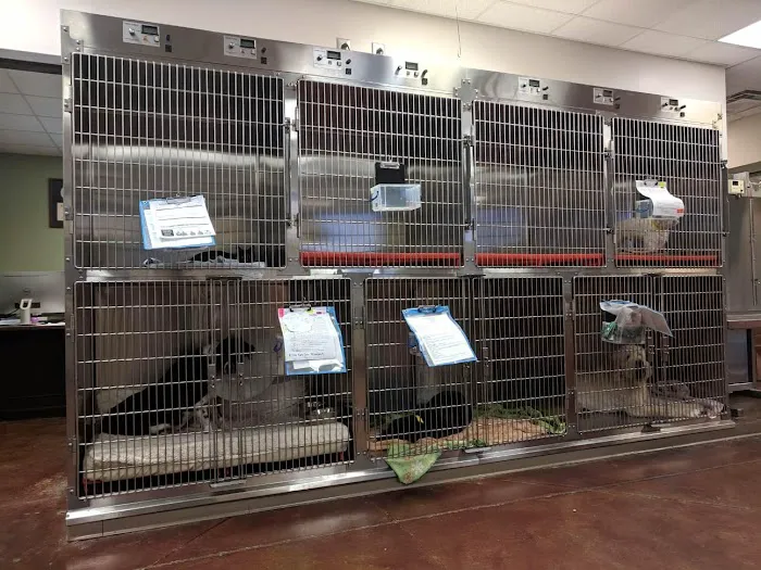 Veterinary Healthcare Associates Picture 10
