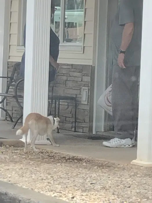 North Augusta Animal Hospital Picture 7