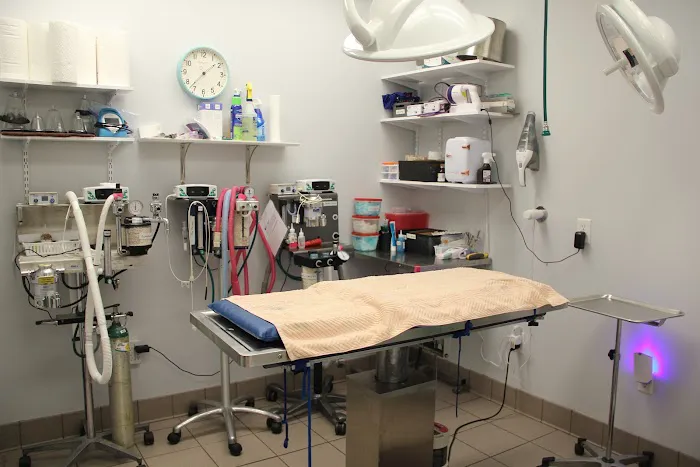 Care More Animal Hospital Picture 8