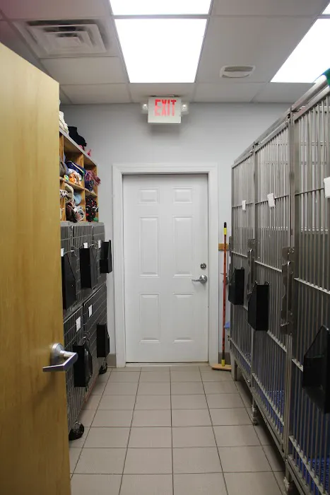 Care More Animal Hospital Picture 10