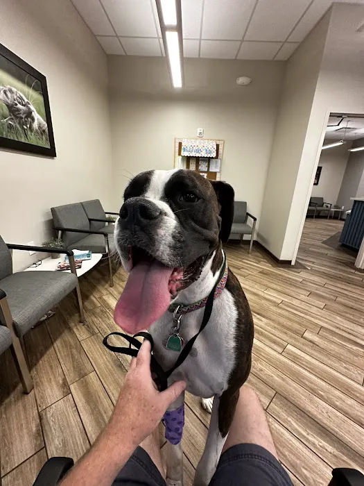 BluePearl Pet Hospital Picture 4