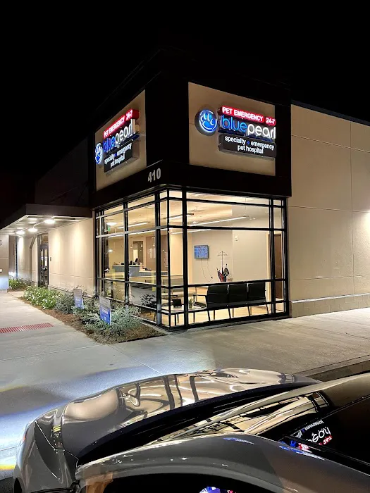 BluePearl Pet Hospital Picture 6