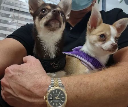Hammond Hills Animal Hospital