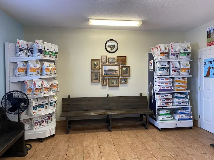 Hammond Hills Animal Hospital Picture 7