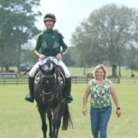 Morgan Equine Veterinary & Farrier Services ico