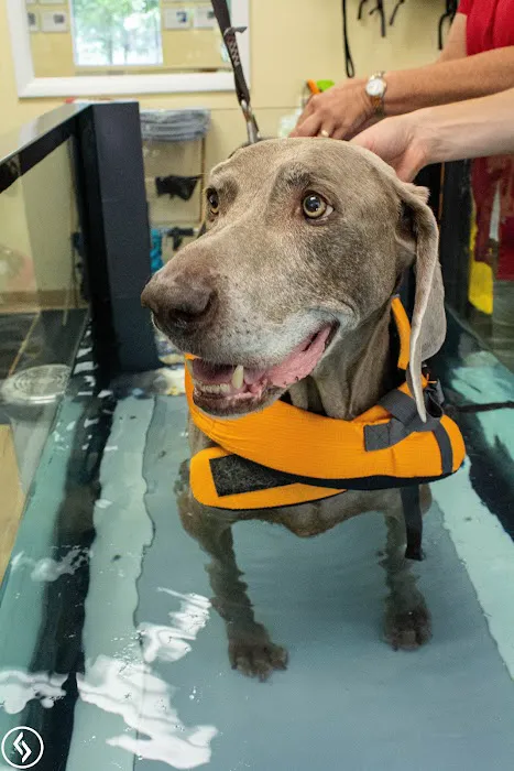 Aiken Pet Fitness and Rehabilitation Picture 4