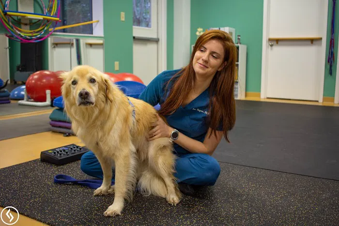 Aiken Pet Fitness and Rehabilitation Picture 3