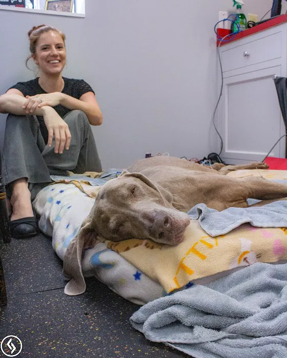 Aiken Pet Fitness and Rehabilitation Picture 7