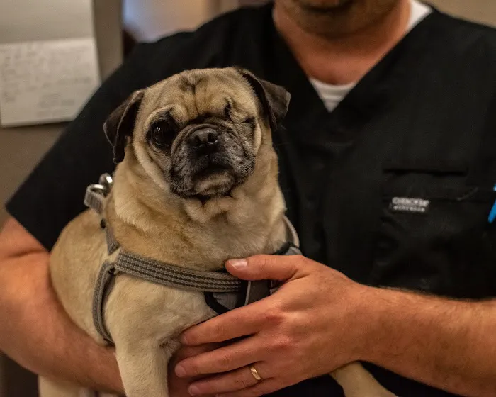 SPCA Albrecht Center Veterinary Care Center Picture 1
