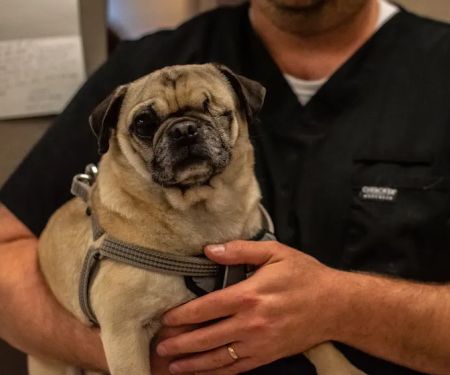 SPCA Albrecht Center Veterinary Care Center