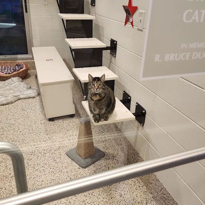 SPCA Albrecht Center Veterinary Care Center Picture 2