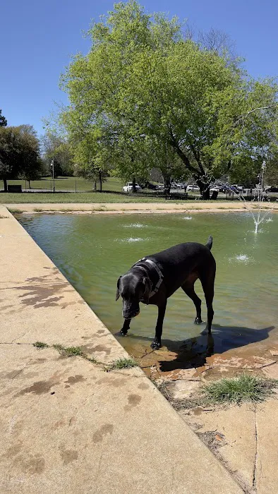 SPCA Albrecht Center Veterinary Care Center Picture 5