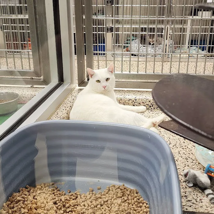 SPCA Albrecht Center Veterinary Care Center Picture 10