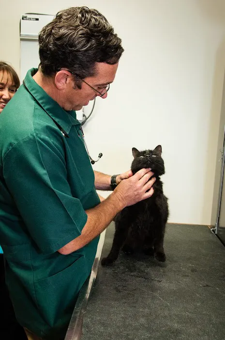 Groover, Charles B, Dvm - Aiken Veterinary Clinic Picture 4