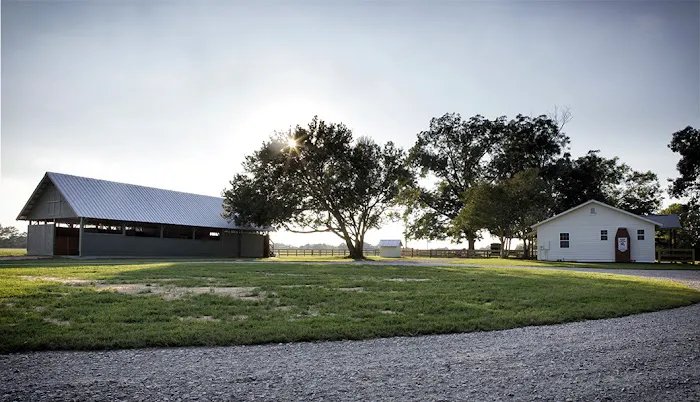 Aiken Equine Veterinary Associates Picture 3