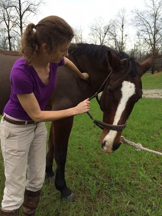 Aiken Equine Veterinary Associates Picture 1