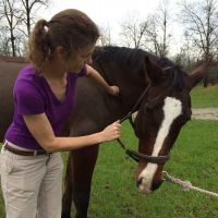 Aiken Equine Veterinary Associates ico