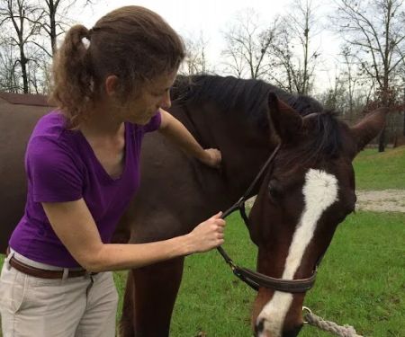 Aiken Equine Veterinary Associates