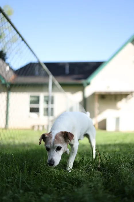 Auburn Animal Hospital Picture 10