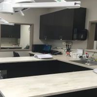 Hamilton Mill Animal Hospital ico