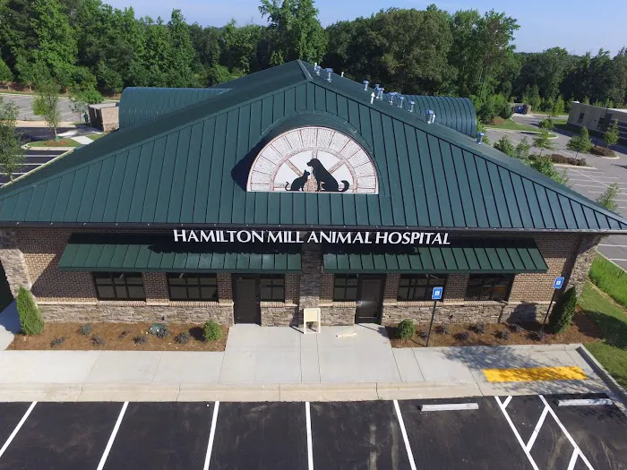 Hamilton Mill Animal Hospital Picture 4